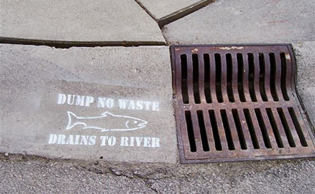 Storm Water Project