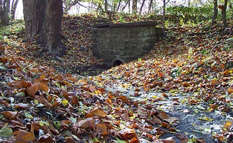 Storm Water Project